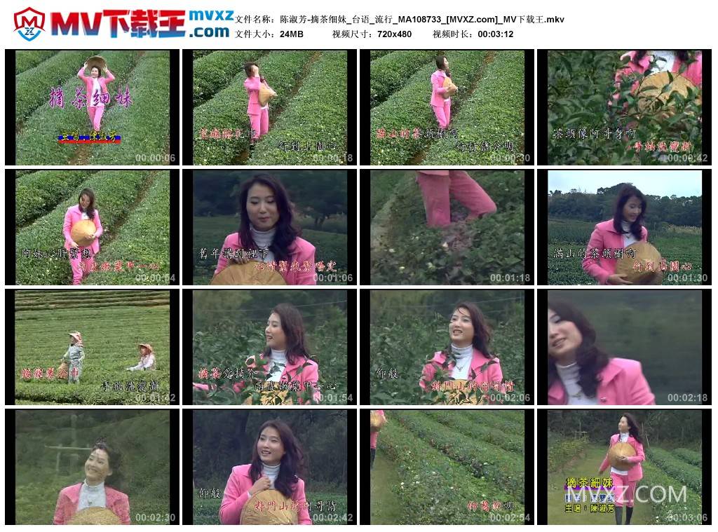 陈淑芳-摘茶细妹_台语_流行_MA108733